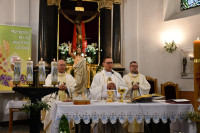  Peregrynacja obrazu Jezu Ufam Tobie 