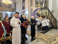 powiększ zdjęcie 