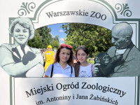 powiększ zdjęcie 