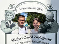 powiększ zdjęcie 