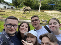 powiększ zdjęcie 