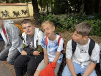 powiększ zdjęcie 