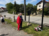 powiększ zdjęcie 